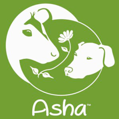 Asha Sanctuary