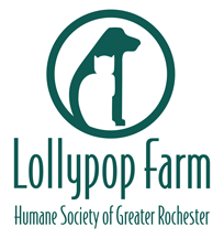 Lollypop Farm